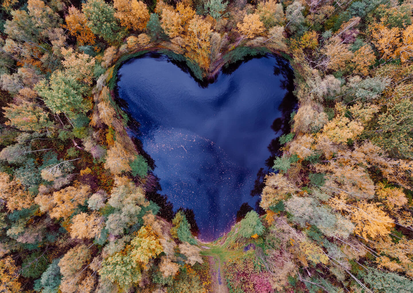 Heart lake in a forest for Net Zero Web Agency campaign
